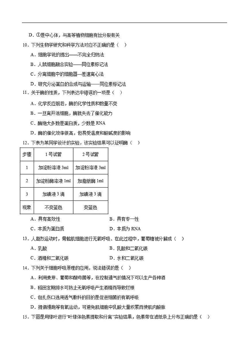 2025-2026学年宁夏中卫市海原县第一中学高一上学期第四次阶段性质量检测生物试卷（含答案）第3页