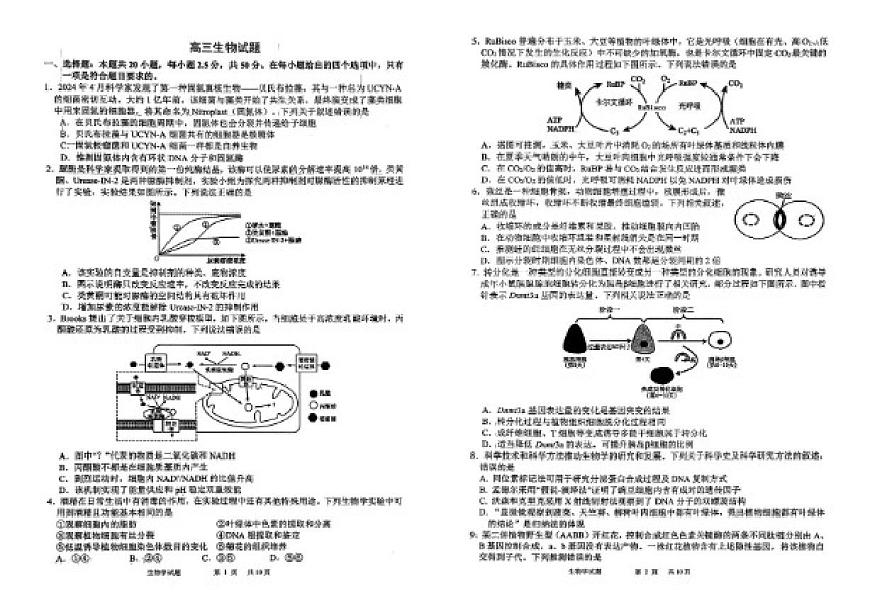 陕西省西安市高新一中第八次阶段检测高三上生物学（含答案）第1页