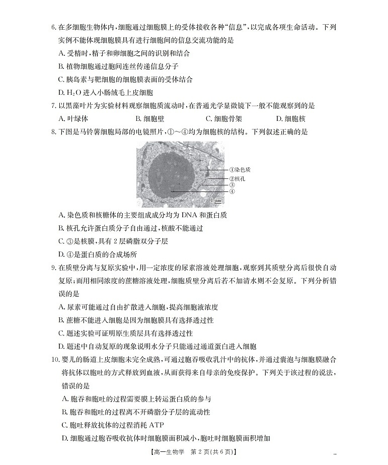 甘肃省定西地区2025-2026学年高一上学期1月期末考试生物试卷第2页