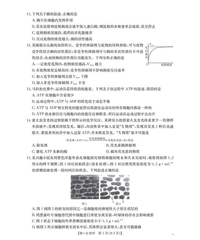 甘肃省定西地区2025-2026学年高一上学期1月期末考试生物试卷第3页