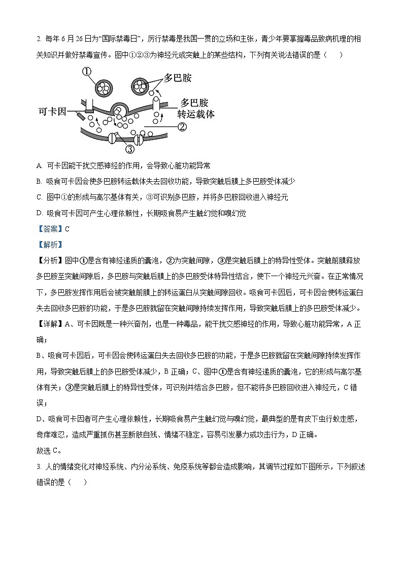 精品解析：福建省厦门市双十中学2024-2025学年高二上学期12月月考生物试题（解析版）第2页