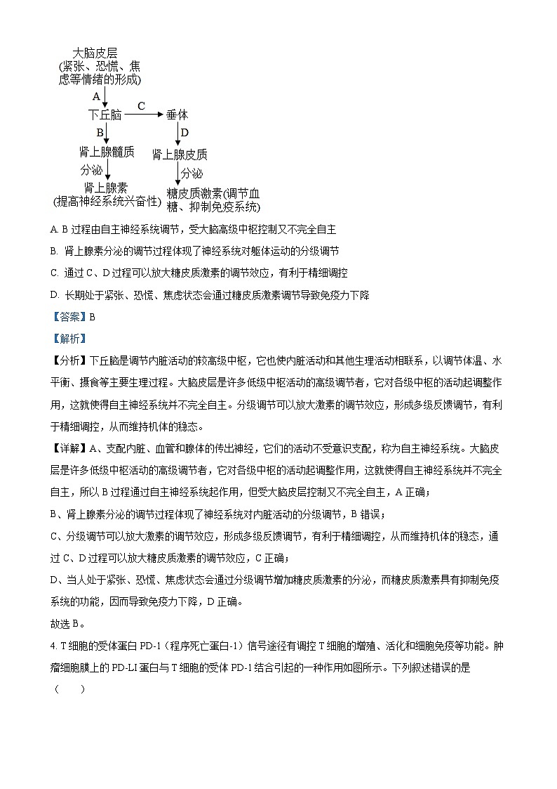 精品解析：福建省厦门市双十中学2024-2025学年高二上学期12月月考生物试题（解析版）第3页