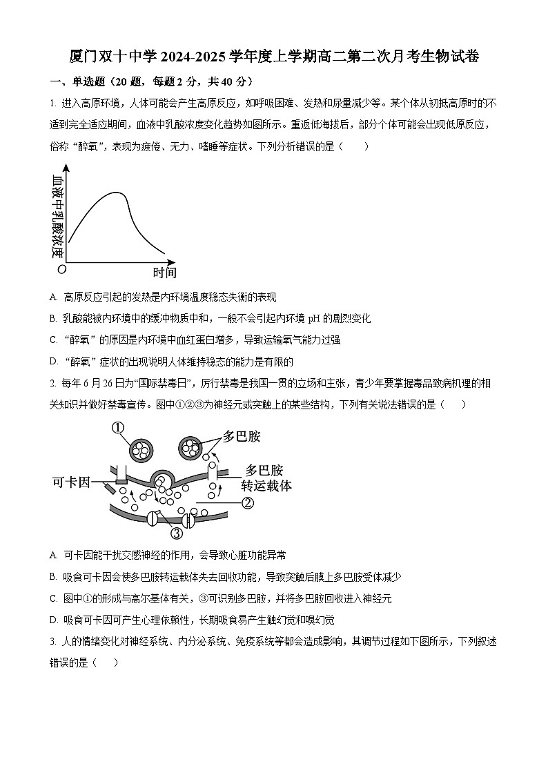 精品解析：福建省厦门市双十中学2024-2025学年高二上学期12月月考生物试题（原卷版）第1页