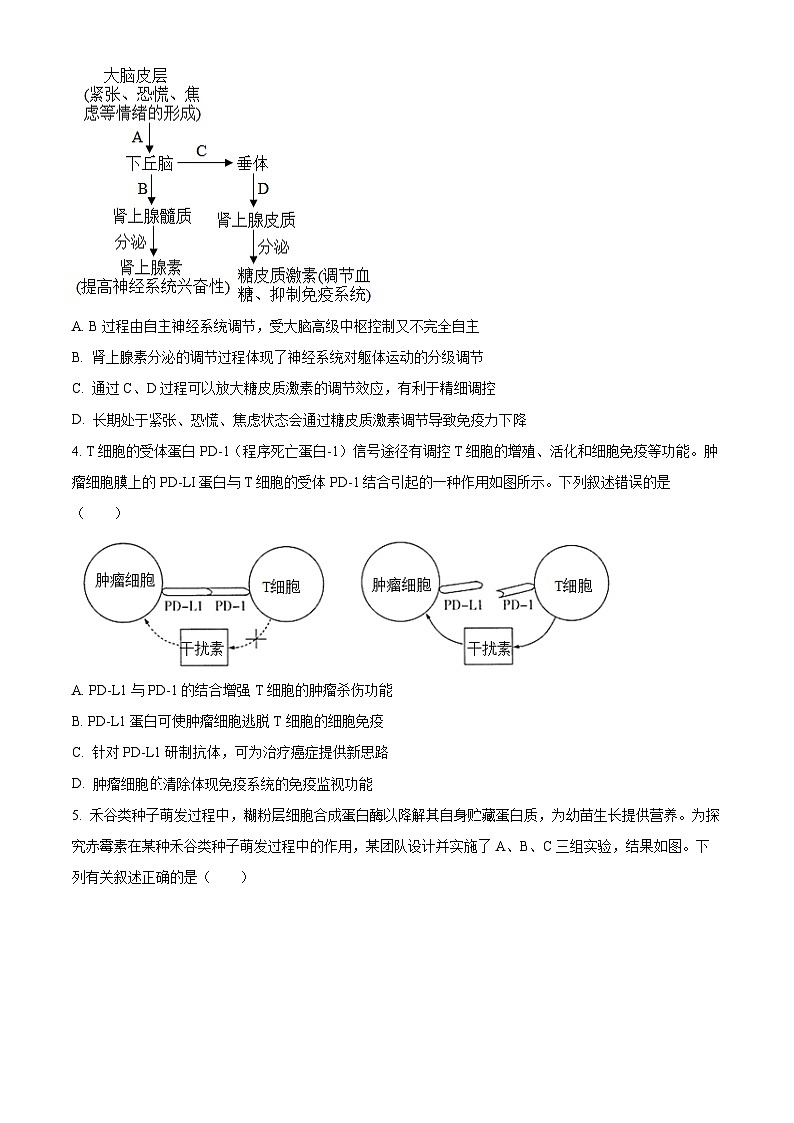 精品解析：福建省厦门市双十中学2024-2025学年高二上学期12月月考生物试题（原卷版）第2页