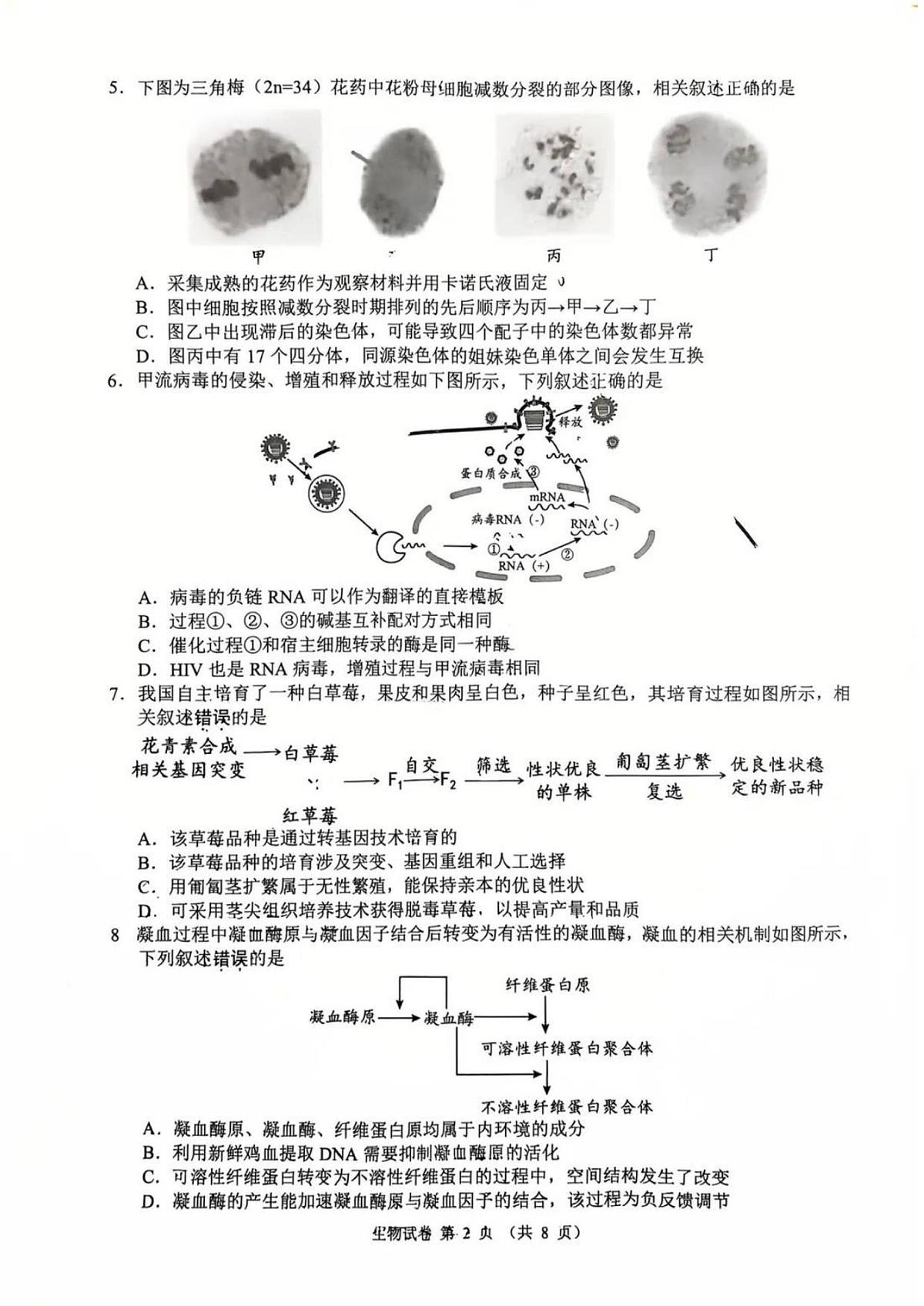 江苏省扬州市2025-2026学年高三上学期期末考试生物试题第2页