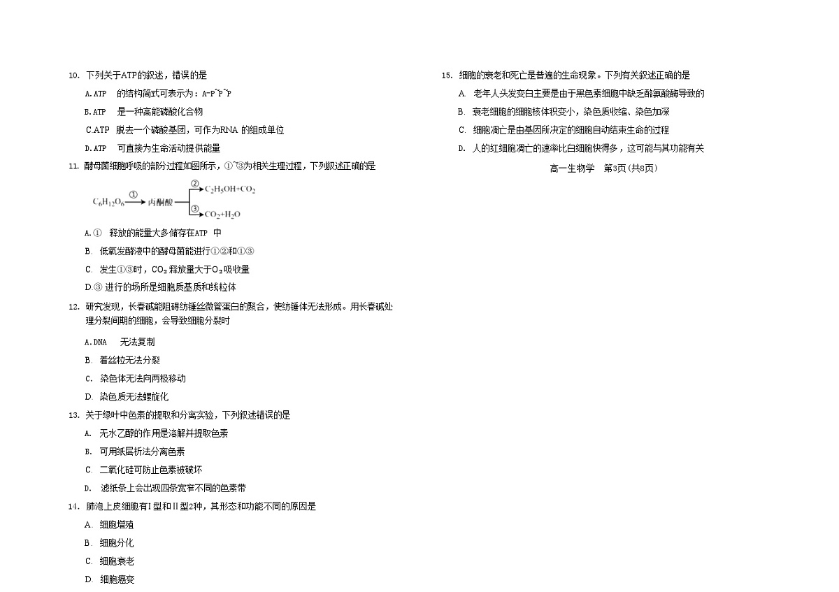 吉林省普通高中友好学校联合体2025-2026学年高一上学期期末生物试题第3页