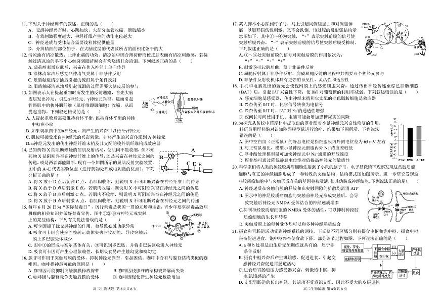 安徽省芜湖市镜湖区安徽师范大学附属中学2024-2025学年高二上学期11月期中生物试题 扫描版无答案第2页