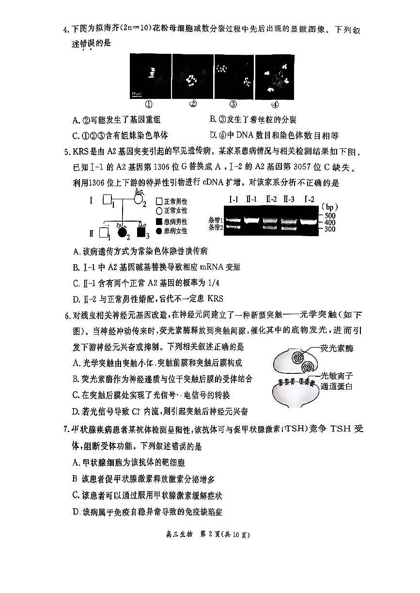 生物试题第2页