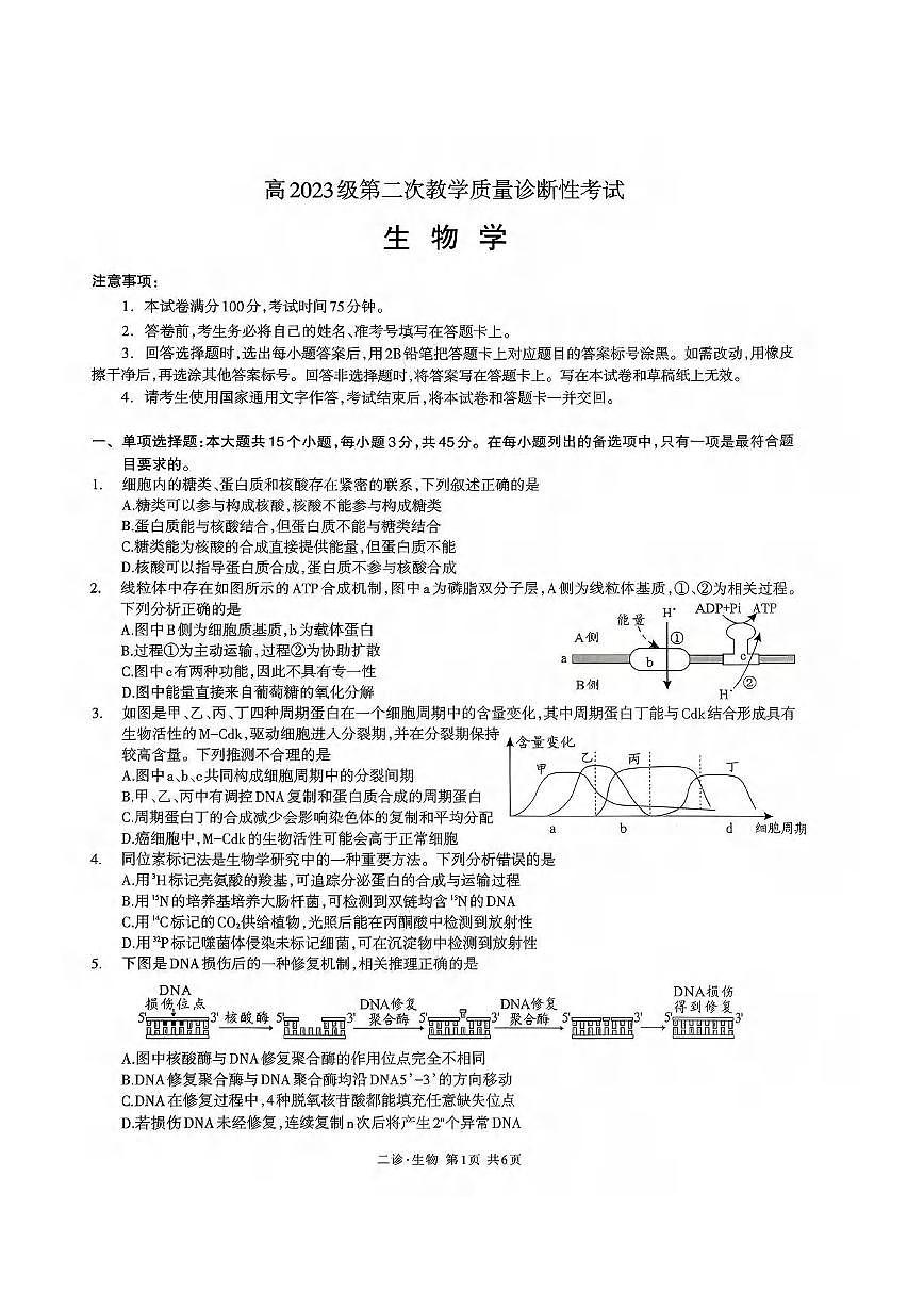 生物丨四川省泸州市2026届高三上学期2月第二次教学质量诊断考试试卷及答案第1页