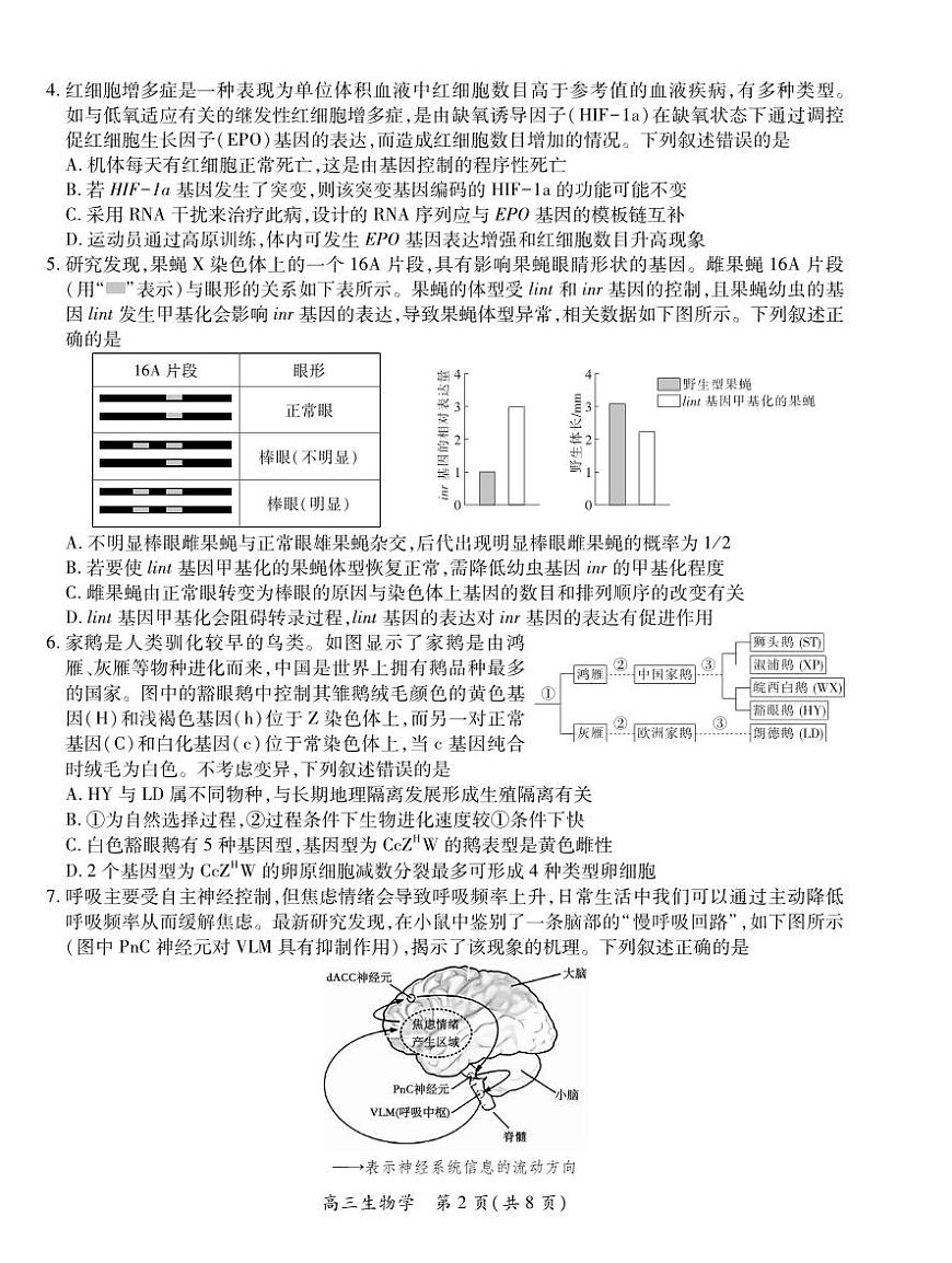 生物丨江西省宜春市2026届高三上学期2月期末考试试卷及答案第2页
