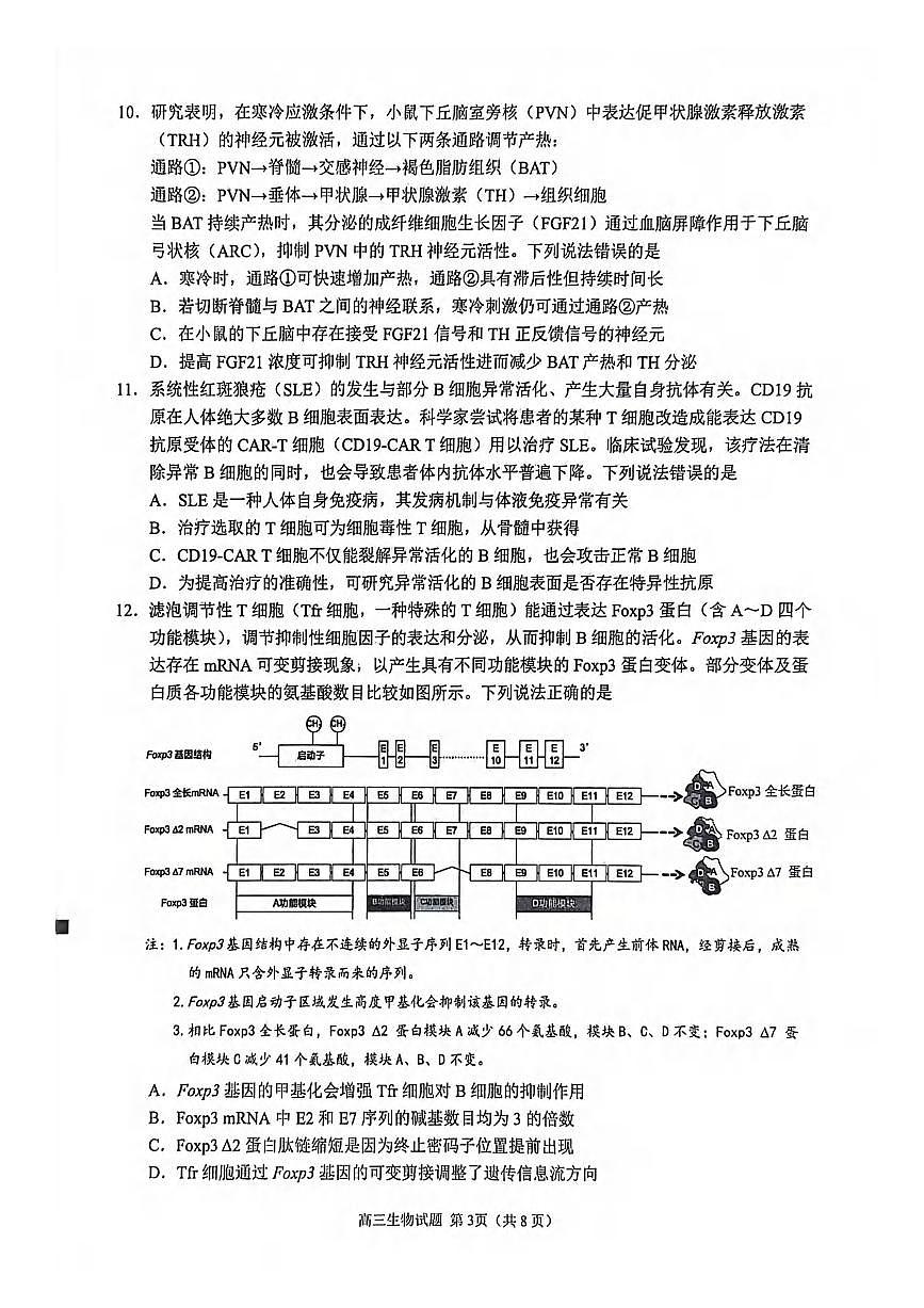 生物丨福建省泉州市2026届高三上学期2月质量检测（二）试卷及答案第3页