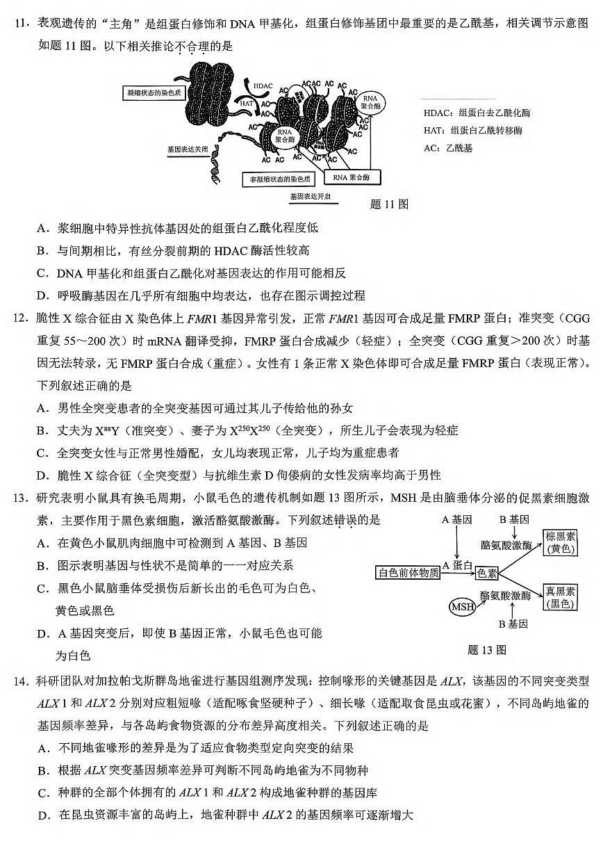 生物丨重庆市2026届高三上学期2月（康德一诊）考试试卷及答案第3页