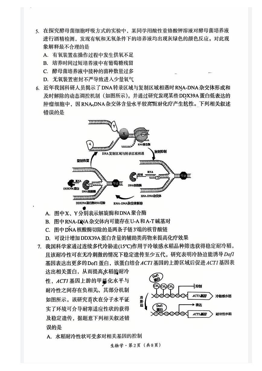 生物丨四川省巴中市2023级2026届高三上学期2月“一诊”考试试卷及答案第2页