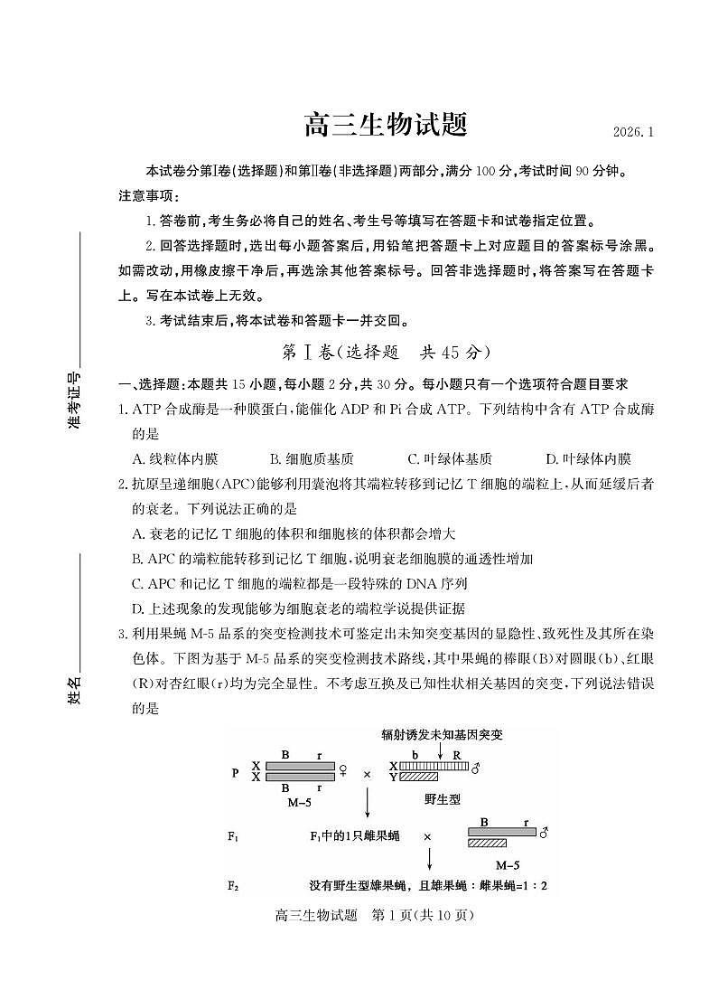 生物丨山东省德州市2026届高三上学期2月期末试卷及答案第1页