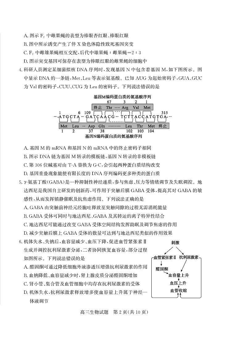 生物丨山东省德州市2026届高三上学期2月期末试卷及答案第2页