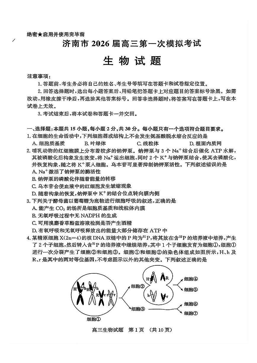 生物试题第1页