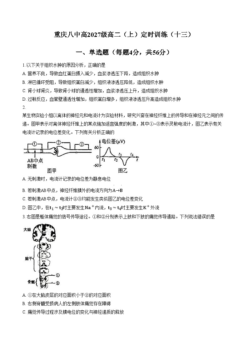 重庆市第八中学校2025_2026学年高二上学期定时训练（十三）生物试卷（文字版，含答案）第1页