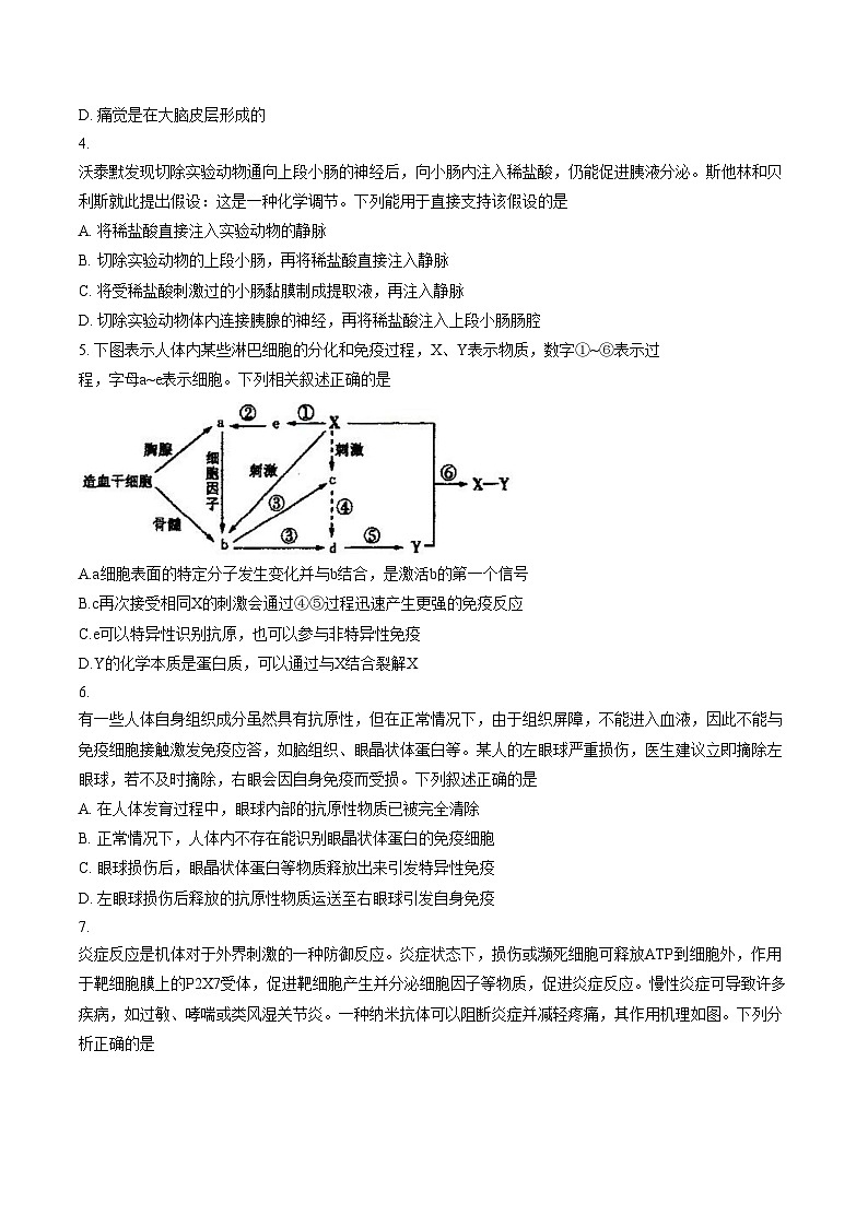 重庆市第八中学校2025_2026学年高二上学期定时训练（十三）生物试卷（文字版，含答案）第2页