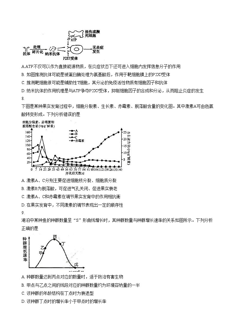 重庆市第八中学校2025_2026学年高二上学期定时训练（十三）生物试卷（文字版，含答案）第3页