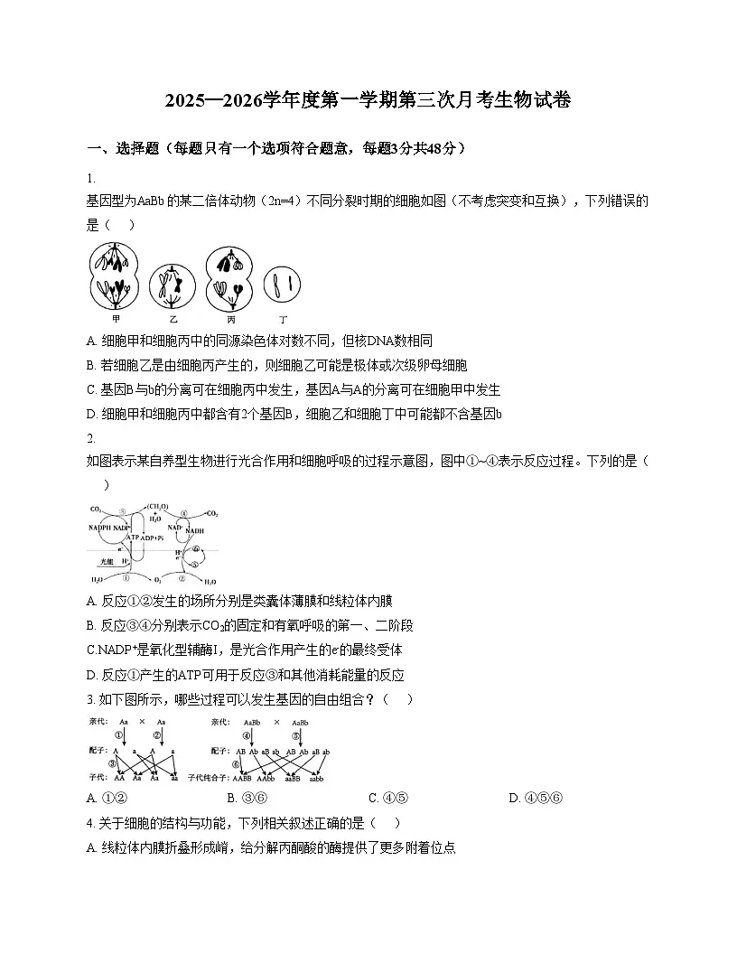 安徽省淮北市第十二中学2025_2026学年高三上学期第三次月考生物试卷(文字版含答案)第1页