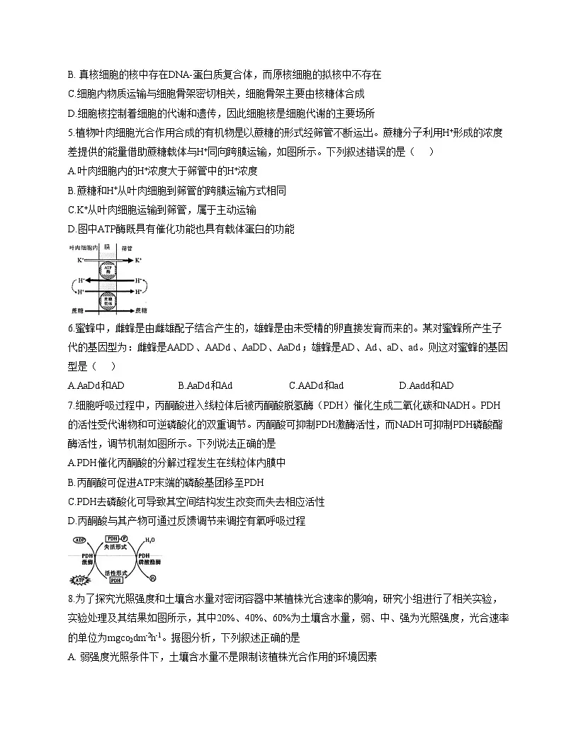 安徽省淮北市第十二中学2025_2026学年高三上学期第三次月考生物试卷(文字版含答案)第2页