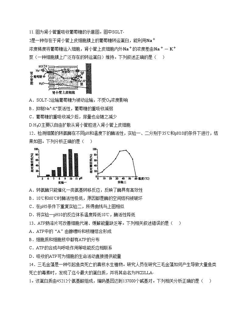 天津市河东区五十四中学2025_2026学年高三上学期第一次月考生物试卷(文字版含答案)第3页