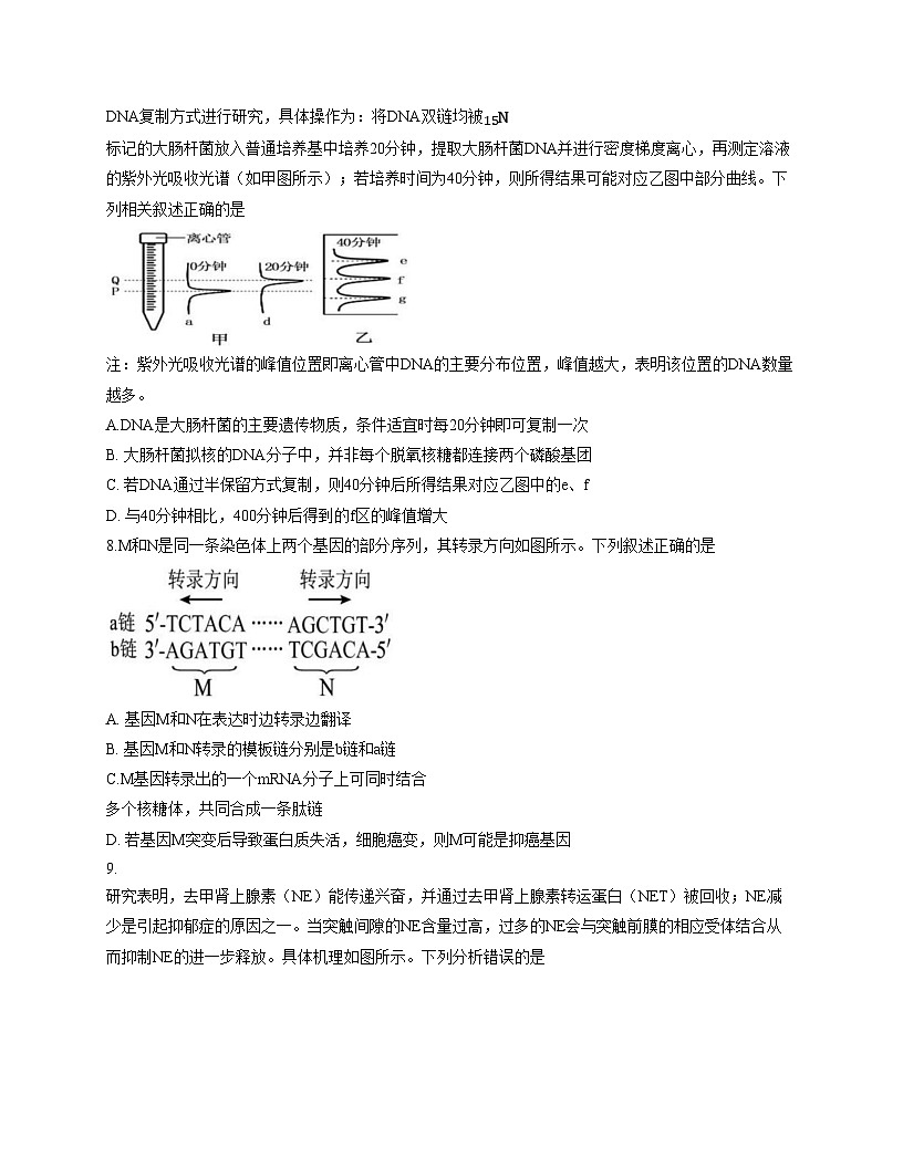 福建省宁德市闽东三校2025_2026学年高三上学期12月月考生物试题(文字版含答案)第3页