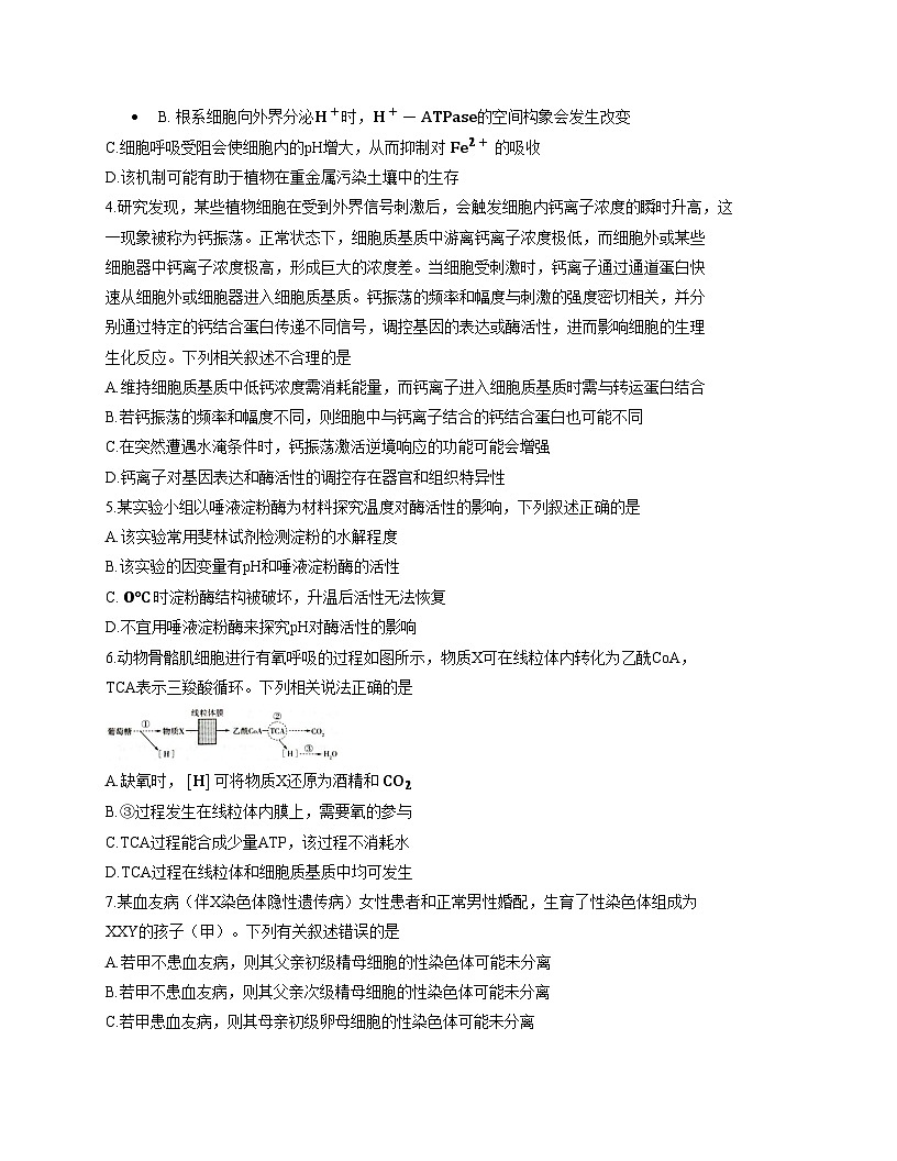 河南省天一大联考2025_2026学年高三上学期12月月考生物试题（文字版，含答案）第2页