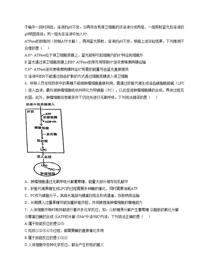 天津市第五十五中2025_2026学年高三上学期10月第一次月考生物试卷（文字版，含答案）第2页