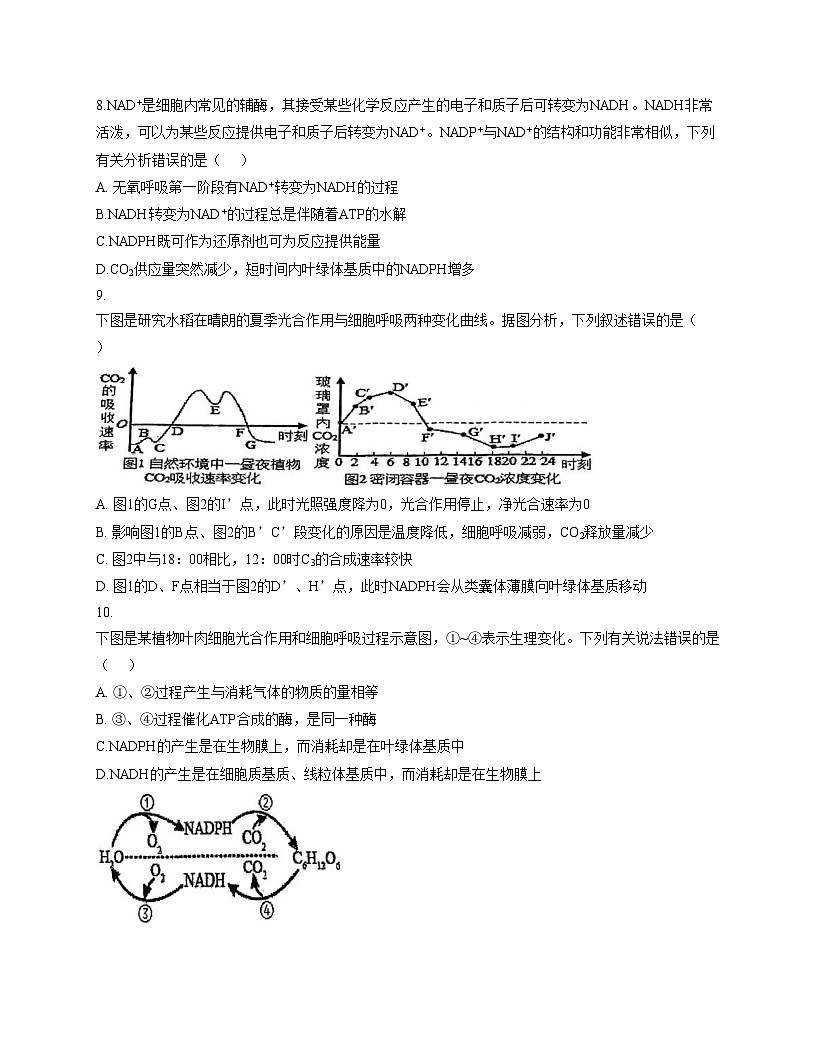 天津市第五十五中2025_2026学年高三上学期10月第一次月考生物试卷（文字版，含答案）第3页