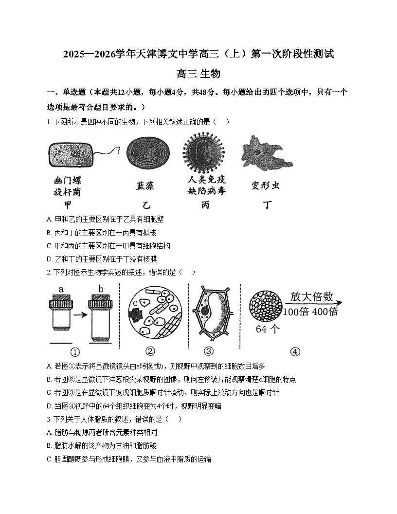 天津市博文中学2025_2026学年高三上学期第一次月考生物试卷(文字版含答案)第1页