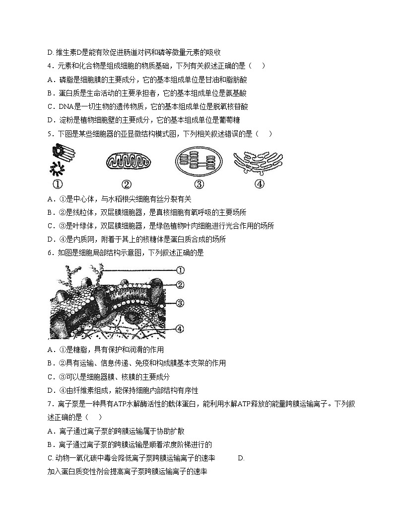 天津市博文中学2025_2026学年高三上学期第一次月考生物试卷(文字版含答案)第2页
