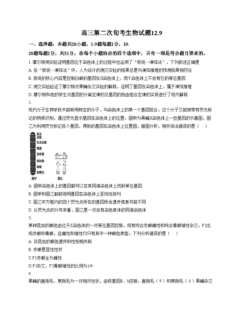 河北衡水市冀州中学2025_2026学年高三上学期12月月考生物试题（文字版，含答案）第1页