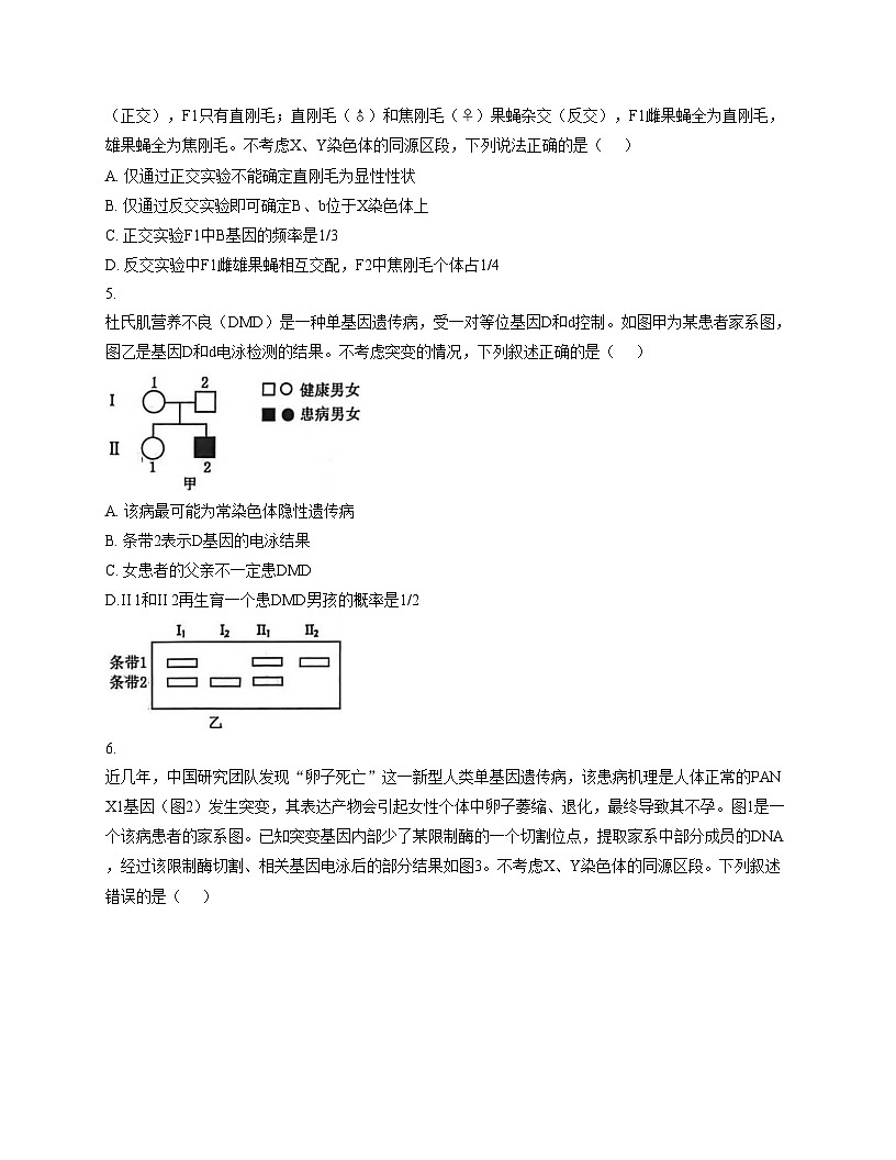 河北衡水市冀州中学2025_2026学年高三上学期12月月考生物试题（文字版，含答案）第2页