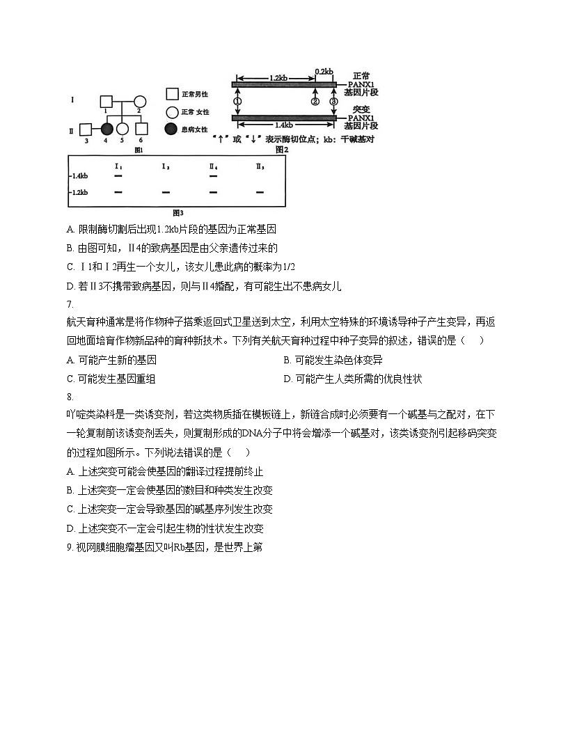 河北衡水市冀州中学2025_2026学年高三上学期12月月考生物试题（文字版，含答案）第3页