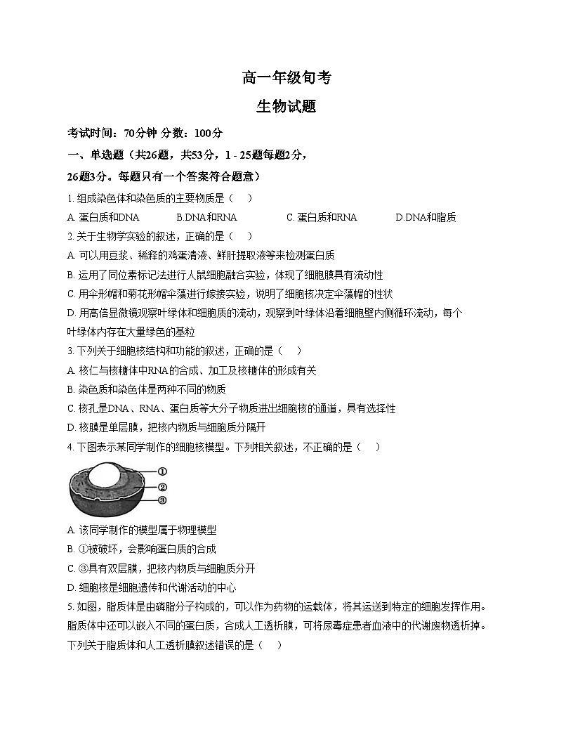 河北衡水市冀州中学2025_2026学年高一上学期12月月考生物试题（文字版，含答案）第1页