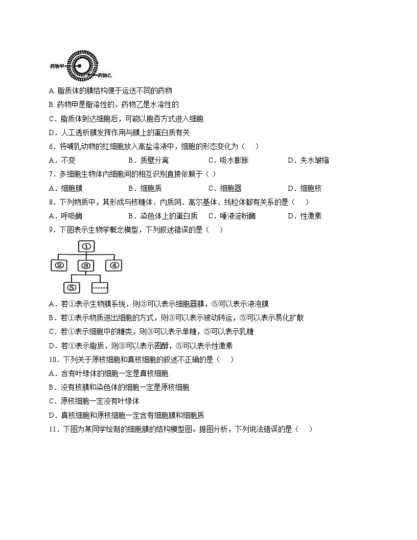 河北衡水市冀州中学2025_2026学年高一上学期12月月考生物试题（文字版，含答案）第2页