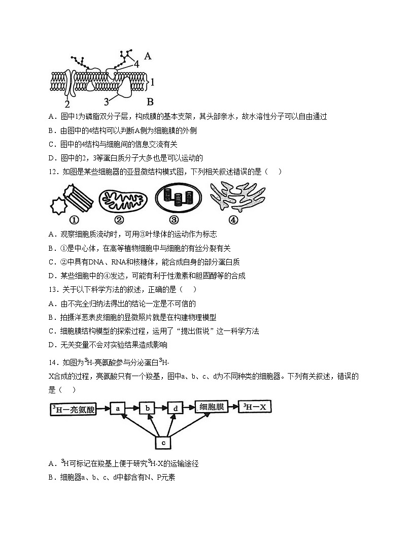 河北衡水市冀州中学2025_2026学年高一上学期12月月考生物试题（文字版，含答案）第3页