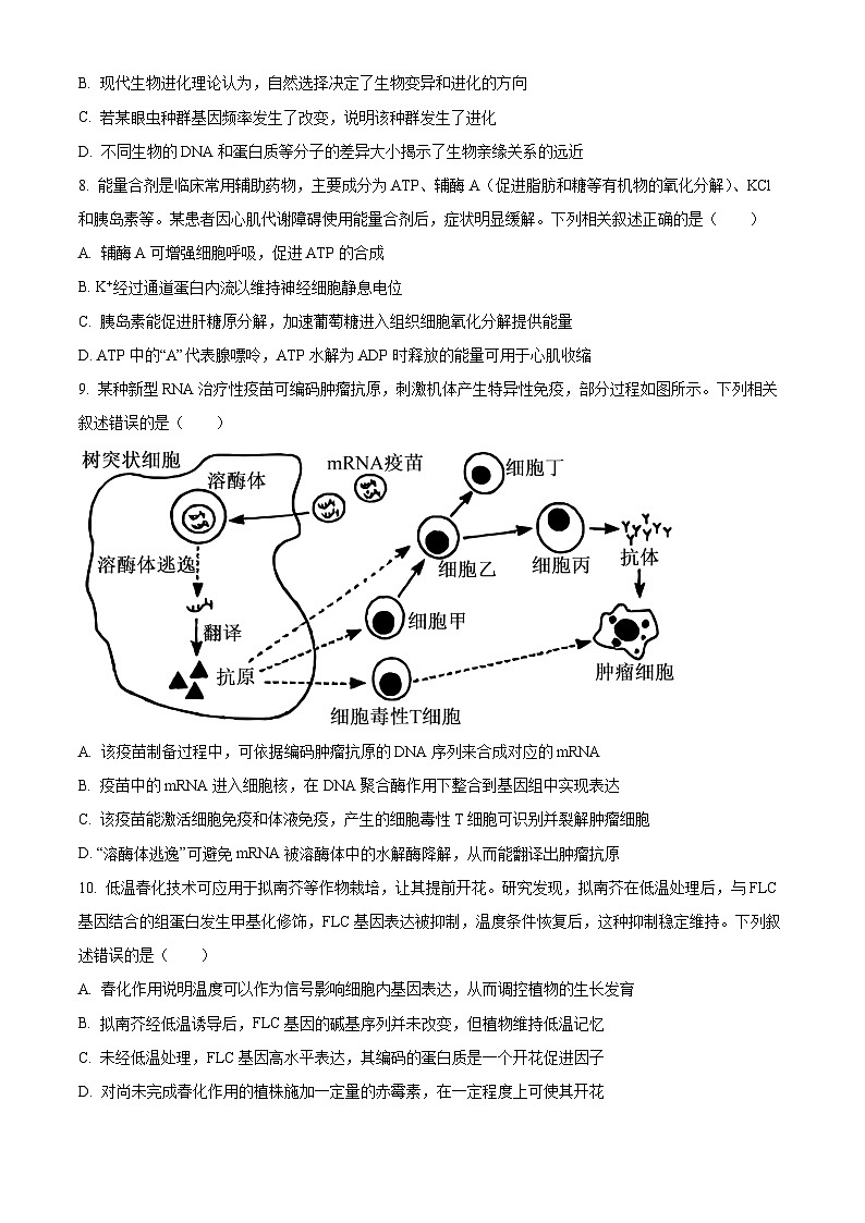 2026届云南省大理白族自治州高三二模生物试题（原卷+解析）第3页