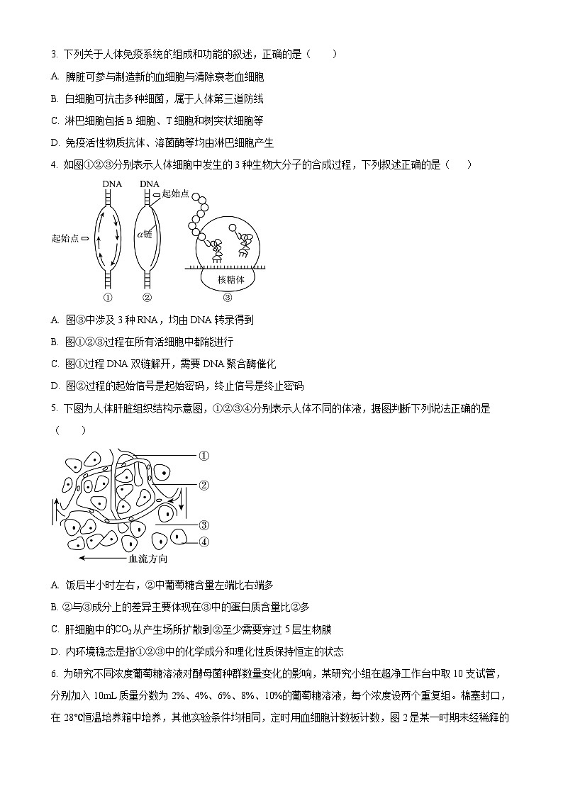 四川省字节精准教育联盟2025-2026学年高三上学期1月期末生物试题（原卷+解析）第2页