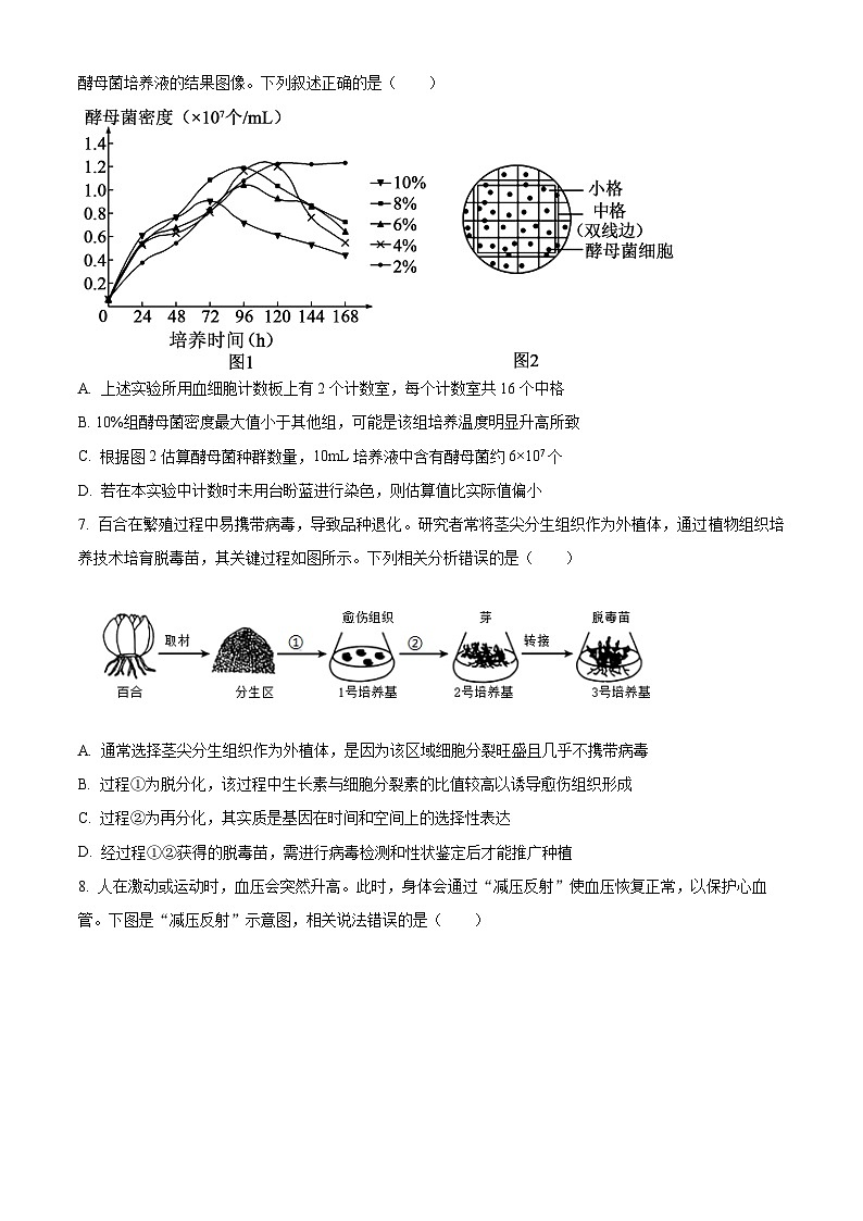 四川省字节精准教育联盟2025-2026学年高三上学期1月期末生物试题（原卷+解析）第3页