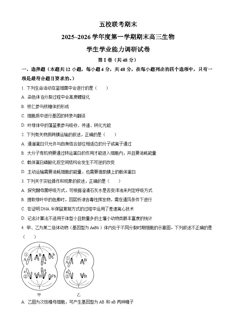 天津市五校联考2025-2026学年高三上学期期末考试生物试题（原卷+解析）第1页