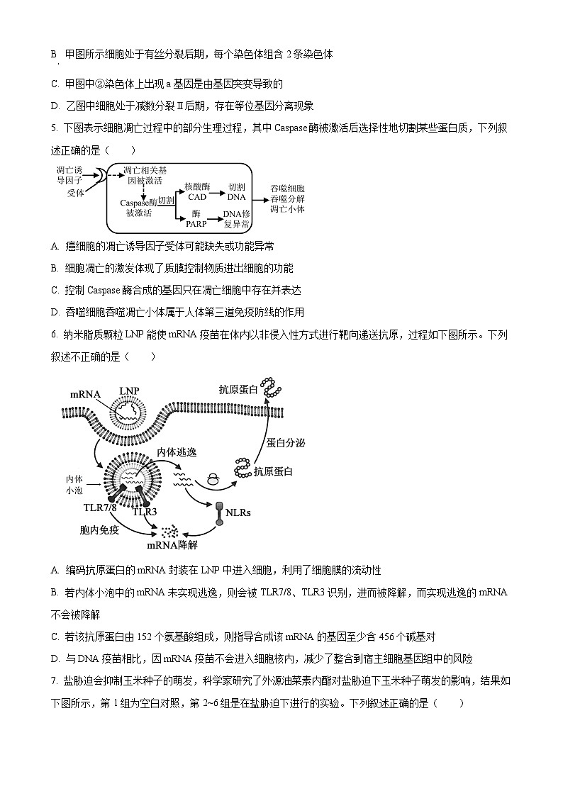天津市五校联考2025-2026学年高三上学期期末考试生物试题（原卷+解析）第2页
