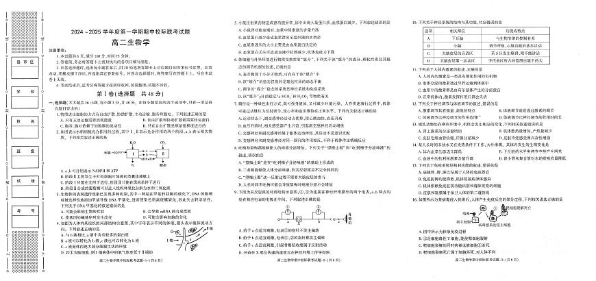 陕西省汉中市2024-2025学年高二上学期11月期中校际联考生物试题含答案第1页
