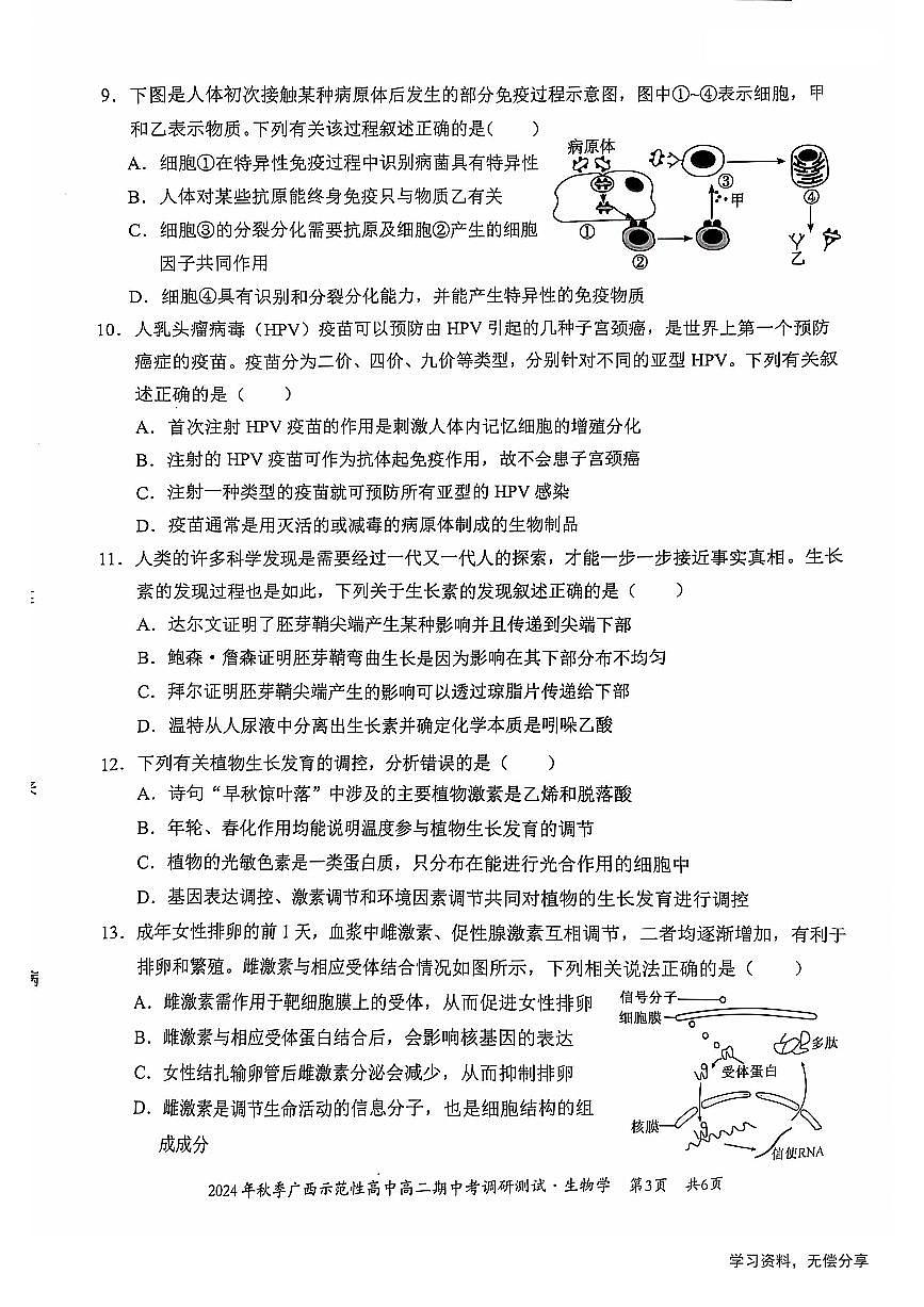 广西2024年秋季期中示范性高中联考高二上学期生物试卷（无答案）第3页
