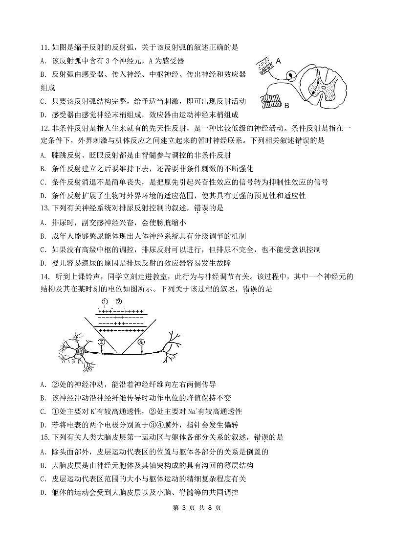 广东省汕头市金山中学2024-2025学年高二上学期期中考试生物试题 PDF版无答案第3页
