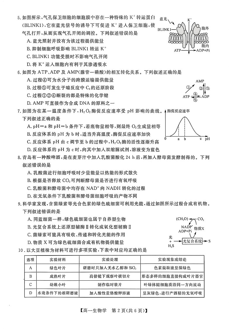广西钦州市2025-2026高一上学期期末教学质量检测生物试卷第2页