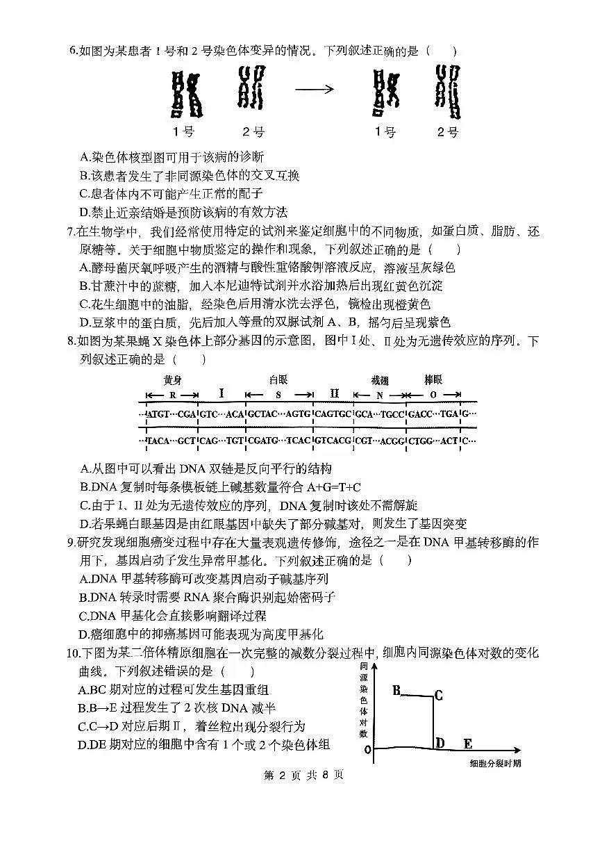 浙江省杭州市周边重点中学2024-2025学年高二上学期开学考试生物试题第2页