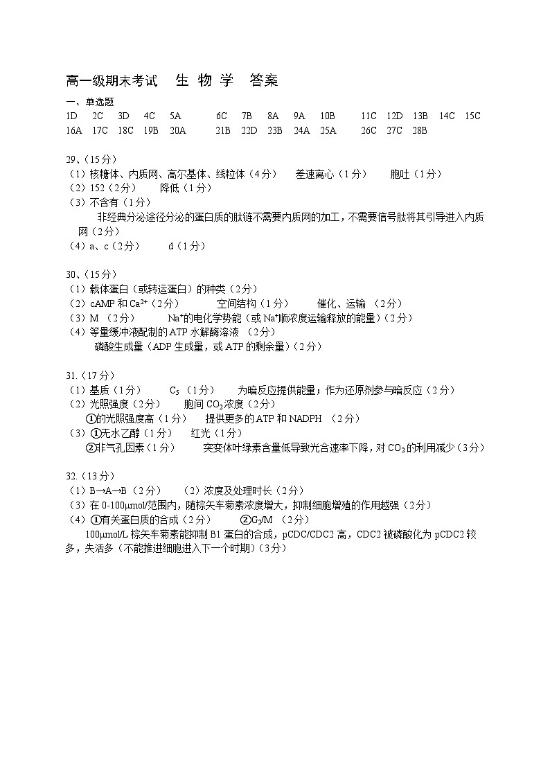 2025高一上-生物期末考-答案第1页