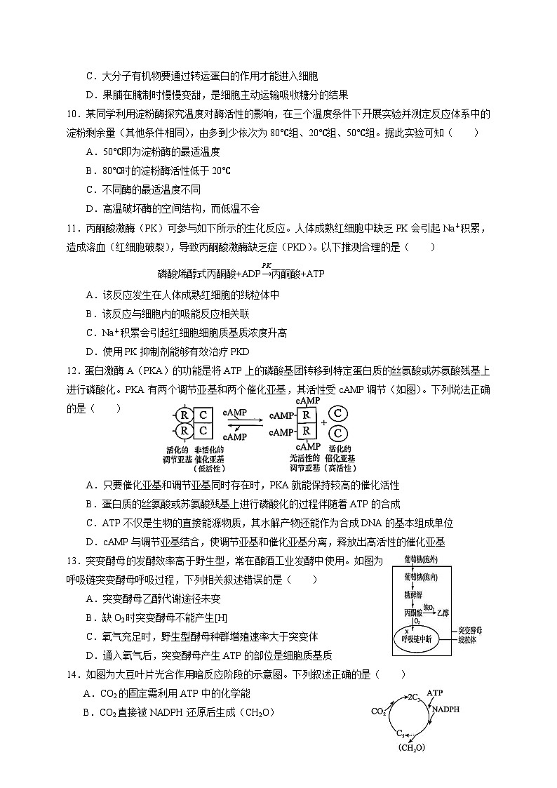 （新）2025高一上-生物期末考试卷(1)第3页